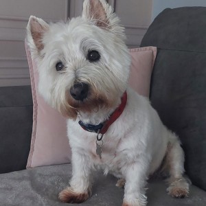 Fergus